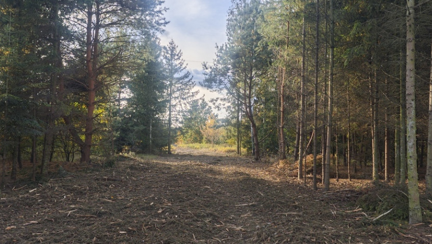 Działka Sprzedaż Borzęcin Mały